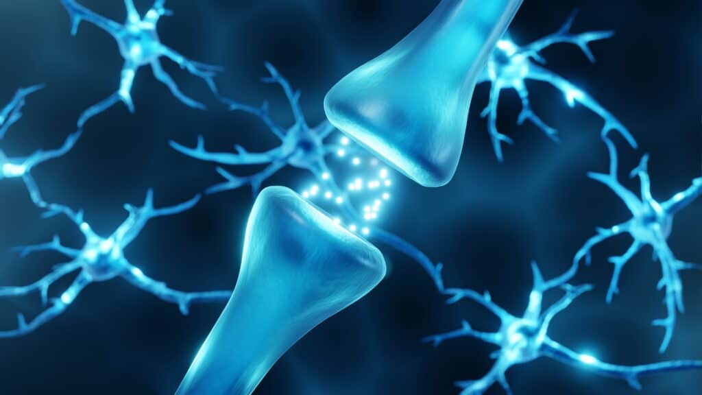 Neurotransmitters act as sleep regulators