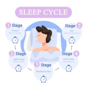 5 cycles of sleep
